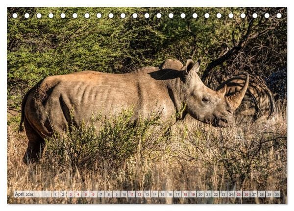 Produktbild: Abenteuerliches Namibia (Tischkalender 2026 DIN A5 quer), CALVENDO Monatskalender