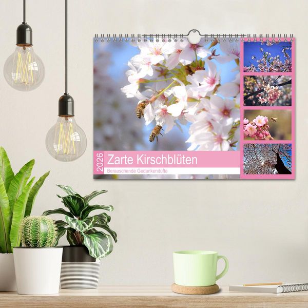 Produktbild: Zarte Kirschbl&uuml;ten - Berauschende Gedankend&uuml;fte (Wandkalender 2026 DIN A4 quer), CALVENDO Monatskalender