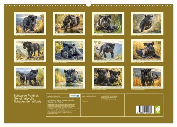 Produktbild: Schwarze Panther. Geheimnisvolle Schatten der Wildnis (hochwertiger Premium Wandkalender 2026 DIN A2 quer), Kunstdruck in Hochglanz