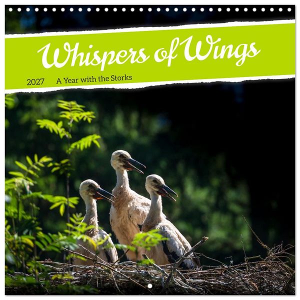 Produktbild: Whispers of Wings (Wall Calendar 2027 12 &times; 12 Inch) CALVENDO 12 Month Wall Calendar