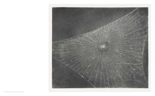 Produktbild: Vija Celmins