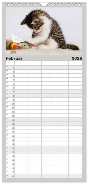Produktbild: Familienplaner 2026 - Zauberhafte K&auml;tzchen mit 5 Spalten (Wandkalender, 21 x 45 cm) CALVENDO