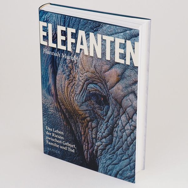 Produktbild: Elefanten