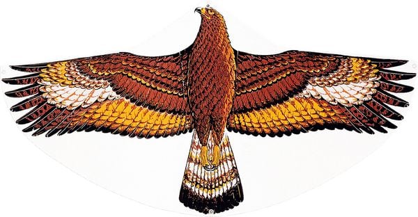 Produktbild: Drachen Steinadler, 122x68cm G&Uuml;NTHE