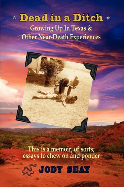 Produktbild: Dead in a Ditch