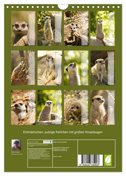 Produktbild: Erdm&auml;nnchen, putzige Kerlchen mit gro&szlig;en Knopfaugen (Wandkalender 2026 DIN A4 hoch), CALVENDO Monatskalender