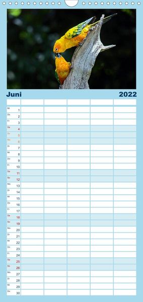 Produktbild: Papageien - Frech, sch&ouml;n und schlau - Familienplaner hoch (Wandkalender 2022 , 21 cm x 45 cm, hoch)