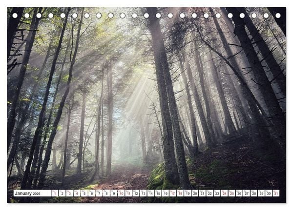 Produktbild: Hiking the GR 10 A long distance trail through the French Pyrenees (Desk Calendar 2026 DIN A5 landscape), CALVENDO 12 Month DeskCalendar