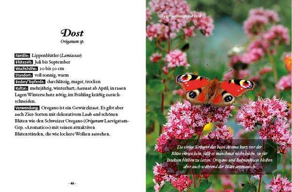 Produktbild: Das kleine Buch: Mein Garten für Bienen & Schmetterlinge