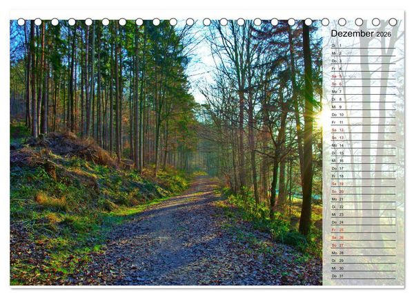 Produktbild: Hohenlohe - Natur und Altstadt (Tischkalender 2026 DIN A5 quer), CALVENDO Monatskalender