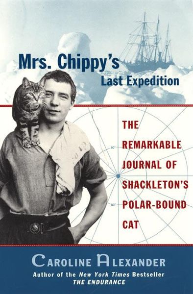 Mrs. Chippy's Last Expedition