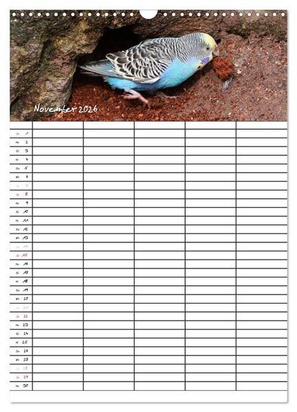 Produktbild: Wellensittiche (Wandkalender 2026 DIN A3 hoch), CALVENDO Monatskalender