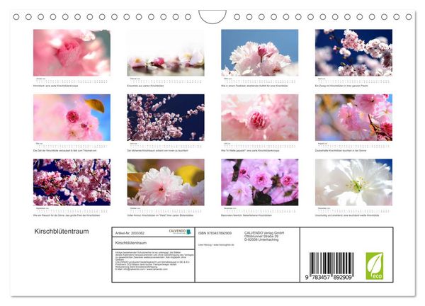 Produktbild: Kirschbl&uuml;tentraum (Wandkalender 2026 DIN A4 quer), CALVENDO Monatskalender