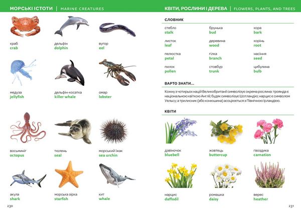 Produktbild: UKRAINIAN ENG_VISUAL DICT PB