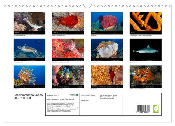 Produktbild: Faszinierendes Leben unter Wasser (Wandkalender 2026 DIN A3 quer), CALVENDO Monatskalender