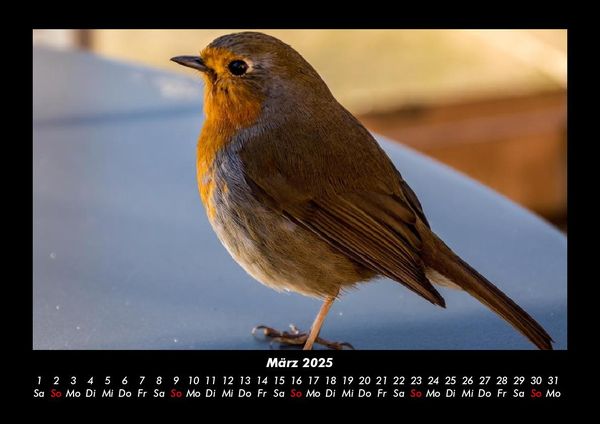 Produktbild: Der Tierkalender 2025 Fotokalender DIN A3