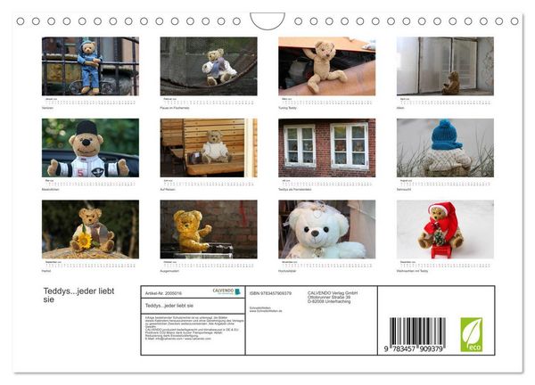 Produktbild: Teddys...jeder liebt sie (Wandkalender 2026 DIN A4 quer), CALVENDO Monatskalender