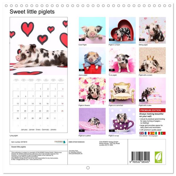 Produktbild: Sweet little piglets (Wall Calendar 2026 12 &times; 12 Inch) CALVENDO 12 Month Wall Calendar