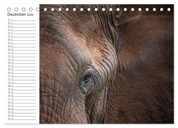 Produktbild: Emotionale Momente: Mein wildes Afrika (Tischkalender 2026 DIN A5 quer), CALVENDO Monatskalender