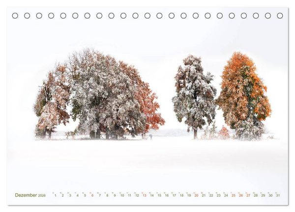 Produktbild: B&Auml;UME - wie gemalt (Tischkalender 2026 DIN A5 quer), CALVENDO Monatskalender