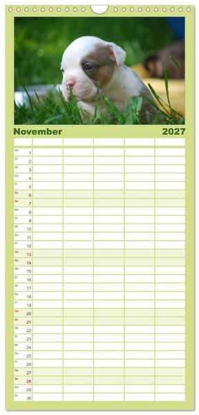 Produktbild: Familienplaner 2027 - Bulldoggen-Kinder mit 5 Spalten (Wandkalender, 21 x 45 cm) CALVENDO