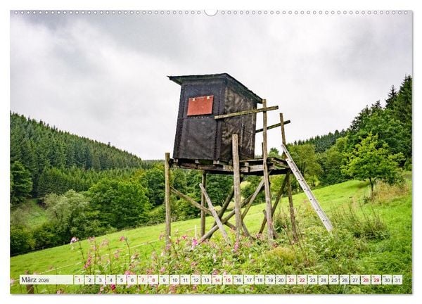 Produktbild: Nationalpark Eifel - Sch&ouml;ne Tage im Gr&uuml;nen (hochwertiger Premium Wandkalender 2026 DIN A2 quer), Kunstdruck in Hochglanz