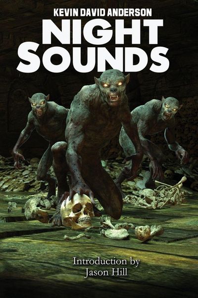 Produktbild: Night Sounds