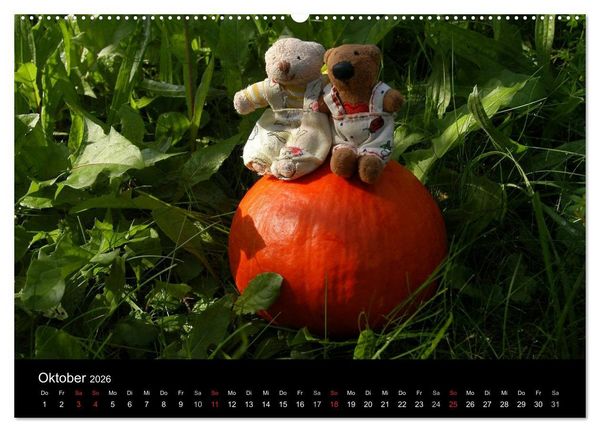 Produktbild: Der B&auml;rchenkalender 2026 (Wandkalender 2026 DIN A2 quer), CALVENDO Monatskalender