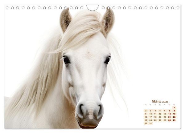 Produktbild: Wei&szlig;e Tierwelt (Wandkalender 2026 DIN A4 quer), CALVENDO Monatskalender