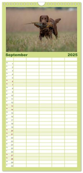 Familienplaner 2025 - Jagdhunde bei der Arbeit mit 5 Spalten (Wandkalender, 21 x 45 cm) CALVENDO