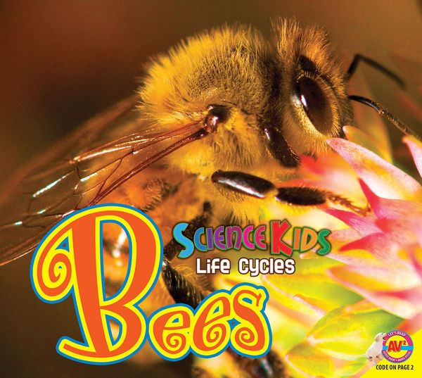 Produktbild: Bees