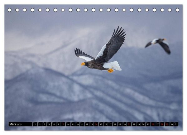 Produktbild: Japanische Vogelwelt im Winter (Tischkalender 2027 DIN A5 quer), CALVENDO Monatskalender