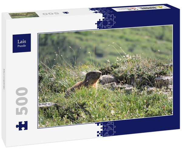 Produktbild: Lais Puzzle Murmeltier 500 Teile