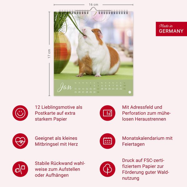 Produktbild: Kuschelige Meerschweinchen Postkartenkalender 2027