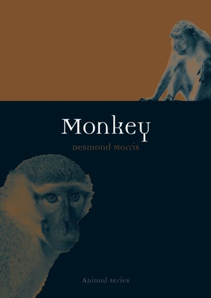 Produktbild: Monkey