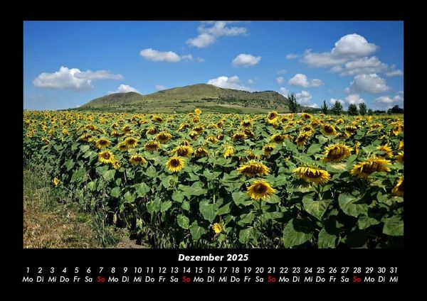 Produktbild: Blumenkalender 2025 Fotokalender DIN A3