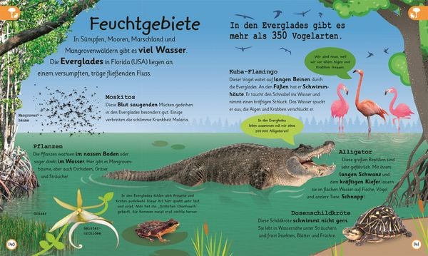 Produktbild: Wissen f&uuml;r Vorschulkids. Was wei&szlig;t du &uuml;ber die Erde?