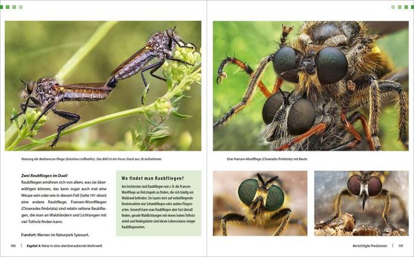 Produktbild: Extreme Wildlife-Makrofotografie
