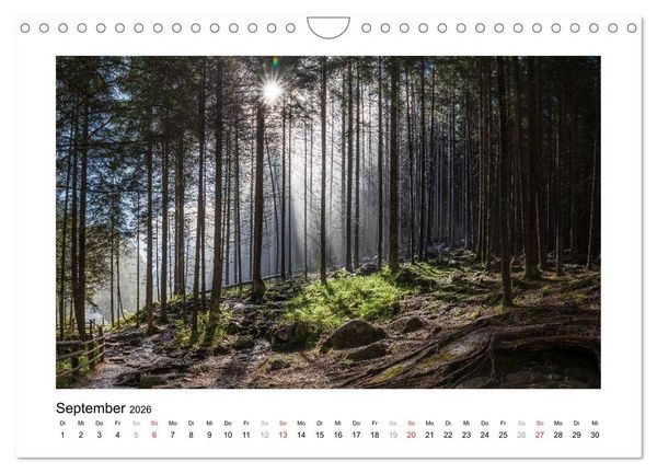 Produktbild: Sch&ouml;nes Landleben im Ahrntal (Wandkalender 2026 DIN A4 quer), CALVENDO Monatskalender