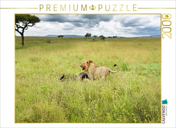 CALVENDO Puzzle Löwe | 2000 Teile Lege-Größe 90x67cm Foto-Puzzle für glückliche Stunden