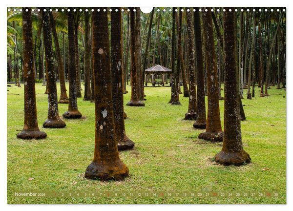 Produktbild: La R&eacute;union - Impressionen von Rolf Dietz (Wandkalender 2026 DIN A3 quer), CALVENDO Monatskalender