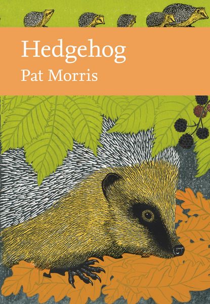 Produktbild: Hedgehog
