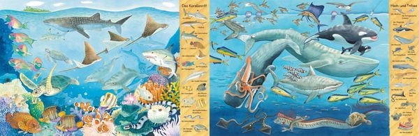 Mein erstes Wimmelbuch: Am Meer