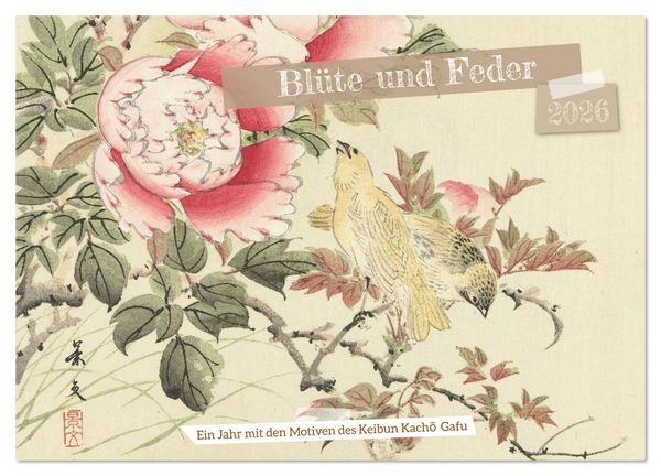 Produktbild: Bl&uuml;te und Feder (Wandkalender 2026 DIN A2 quer), CALVENDO Monatskalender