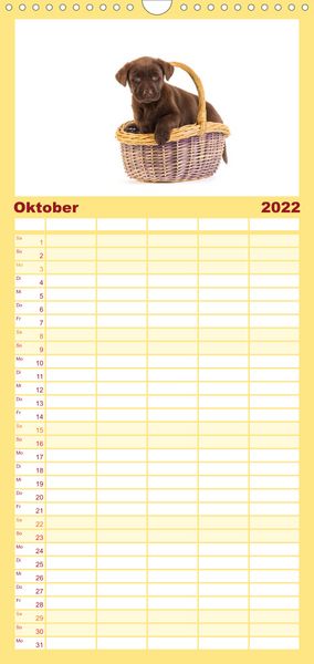Produktbild: Familienplaner Labrador - Welpen (Wandkalender 2022 , 21 cm x 45 cm, hoch)