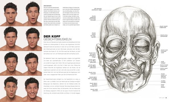 Produktbild: Anatomie f&uuml;r K&uuml;nstler