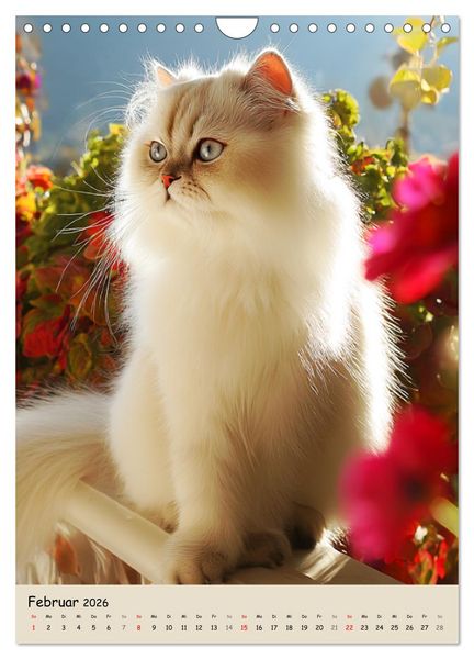 Produktbild: Perserkatzen. Zauberhafte Langhaar-Divas in Szene gesetzt (Wandkalender 2026 DIN A4 hoch), CALVENDO Monatskalender