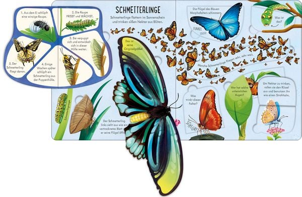 Produktbild: Aufklappen und Entdecken: Das Leben der Krabbeltiere