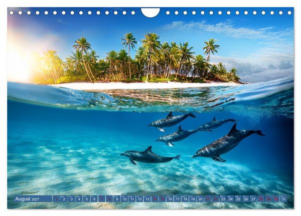 Produktbild: When Dolphins Dance with Us (Wall Calendar 2027 DIN A4 landscape), CALVENDO 12 Month Wall Calendar