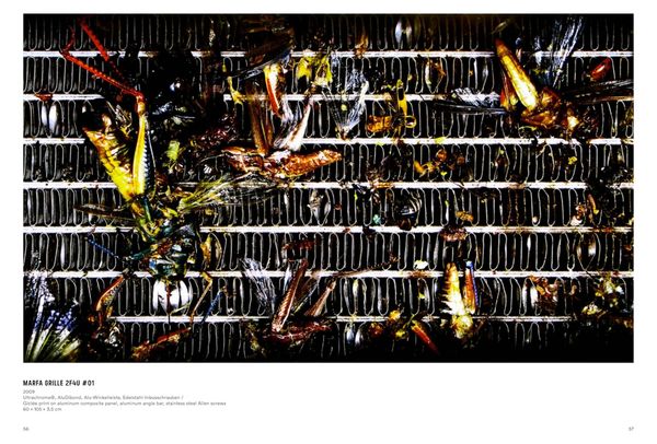 Produktbild: Rolf Walz. Blind Spot Bias